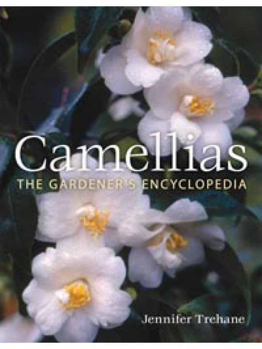 Camellias The Gardener's Encyclopedia (Καμέλιες - έκδοση στα αγγλικά) Camellias The Gardener's Encyclopedia (Καμέλιες - έκδοση στα αγγλικά)