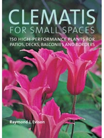 Clematis for Small Spaces