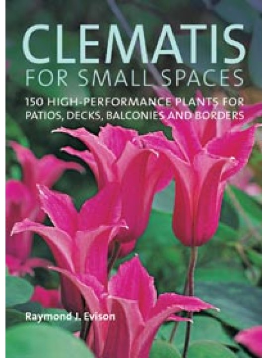 Clematis for Small Spaces