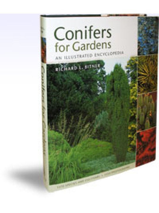 Conifers for Gardens An Illustrated Encyclopedia