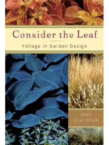 Consider the Leaf Foliage in Garden Design