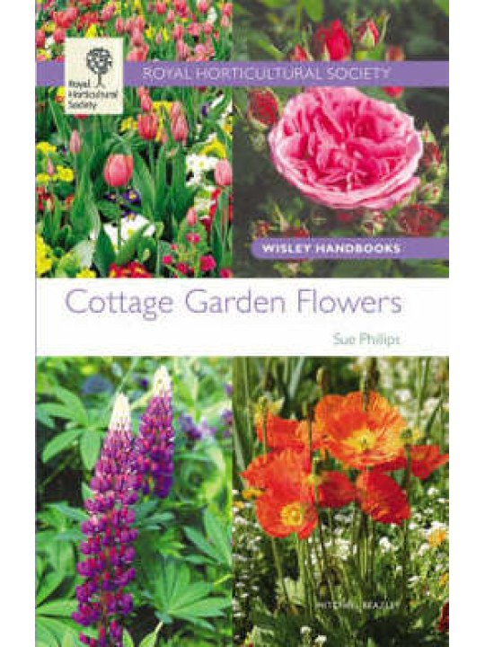 Cottage Garden Flowers