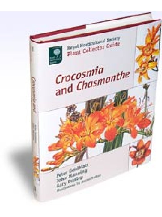 Crocosmia and Chasmanthe