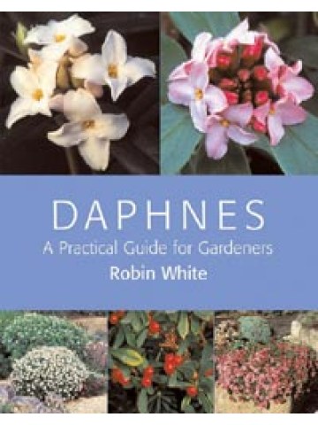 Daphnes A Practical Guide for Gardeners