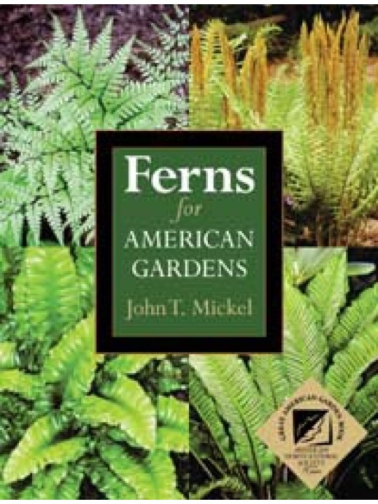 Ferns for American Gardens