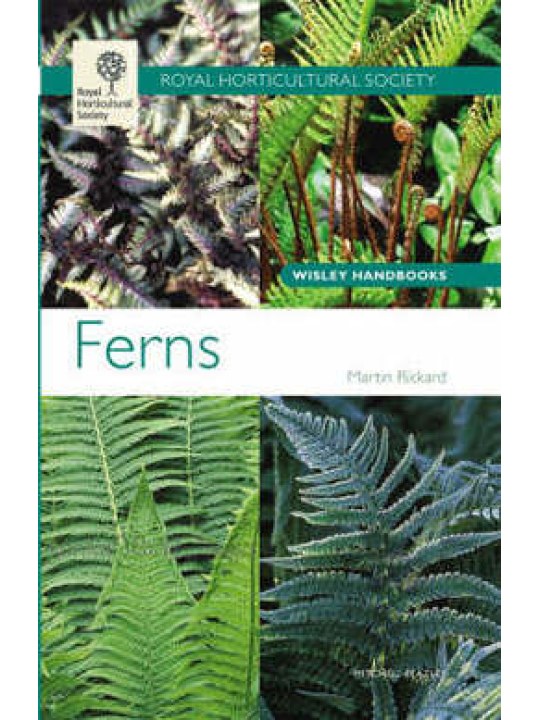 Ferns (Φτέρες - έκδοση στα αγγλικά)