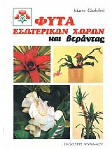 Φυτά εσωτερικών χώρων και βεράντας Φυτά εσωτερικών χώρων και βεράντας