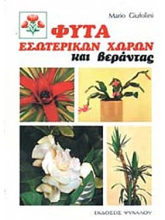 Φυτά εσωτερικών χώρων και βεράντας 