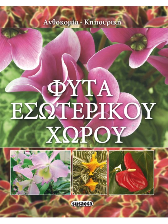 Φυτά εσωτερικού χώρου