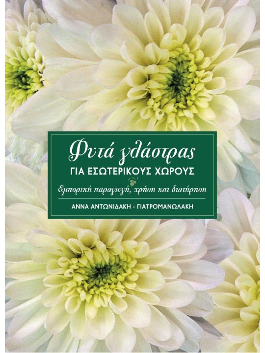 Φυτά γλάστρας για εσωτερικούς χώρους