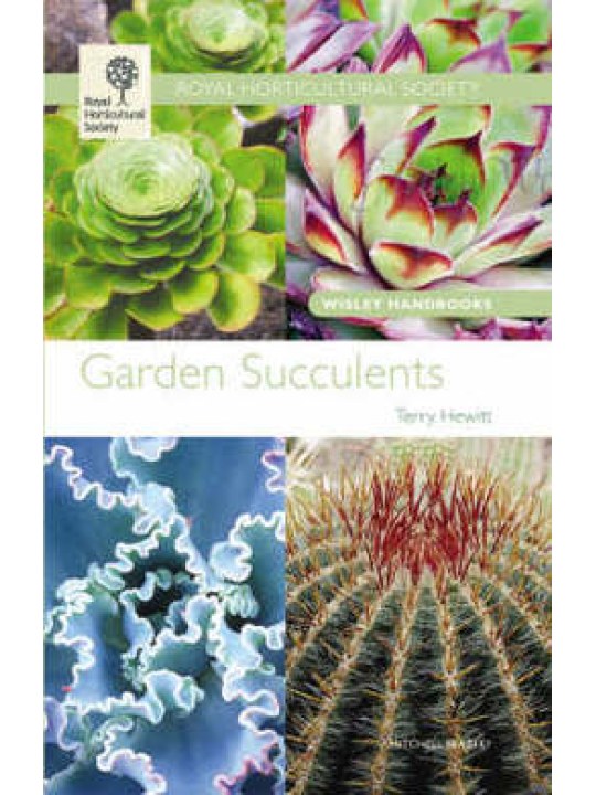 Garden Succulents
