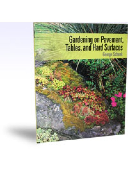 Gardening on Pavement, Tables, and Hard Surfaces