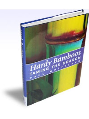 Hardy Bamboos Taming the Dragon