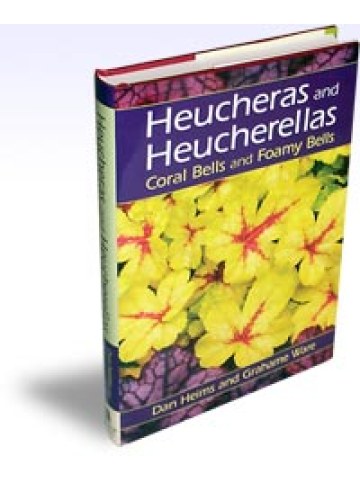 Heucheras and Heucherellas Coral Bells and Foamy Bells