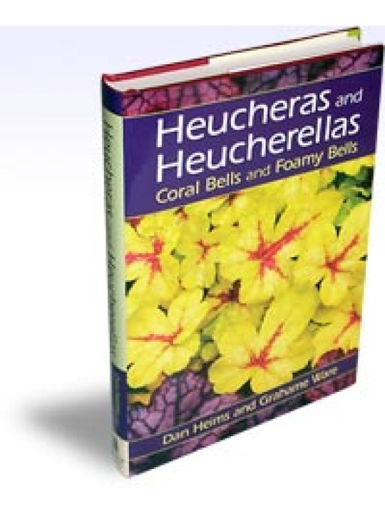 Heucheras and Heucherellas Coral Bells and Foamy Bells