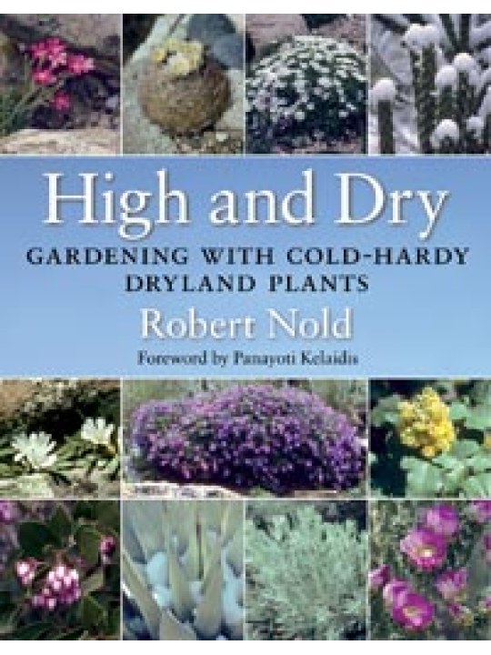 High and Dry Gardening with Cold-Hardy Dryland Plants