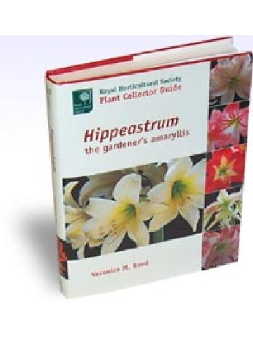 Hippeastrum The Gardener's Amaryllis