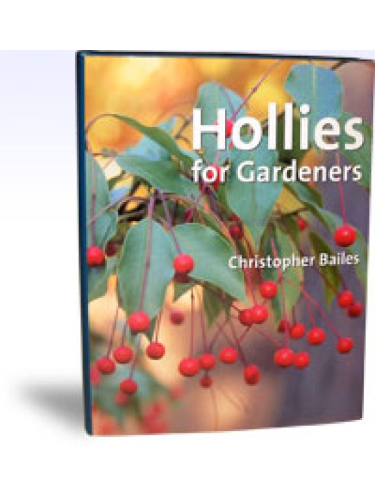 Hollies for Gardeners