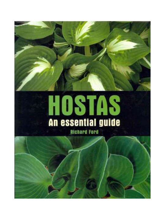 Hostas: An Essential Guide
