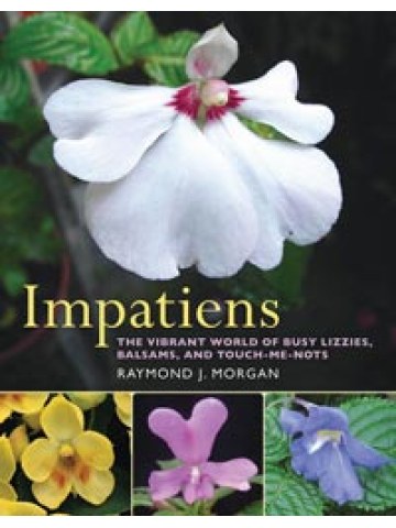Impatiens The Vibrant World of Busy Lizzies, Balsams, and Touch-me-nots