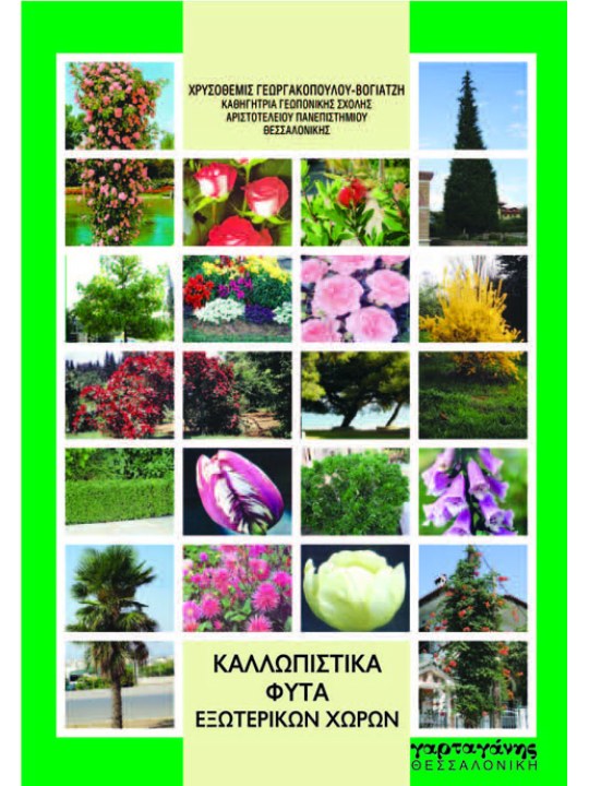 Καλλωπιστικά φυτά εξωτερικών χώρων 