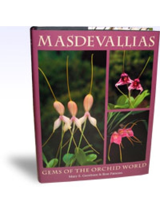 Masdevallias Gems of the Orchid World