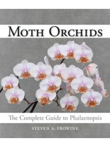 Moth Orchids The Complete Guide to Phalaenopsis