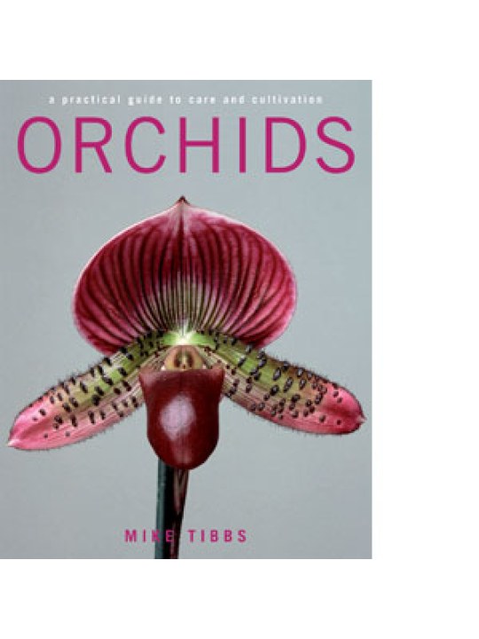 Orchids