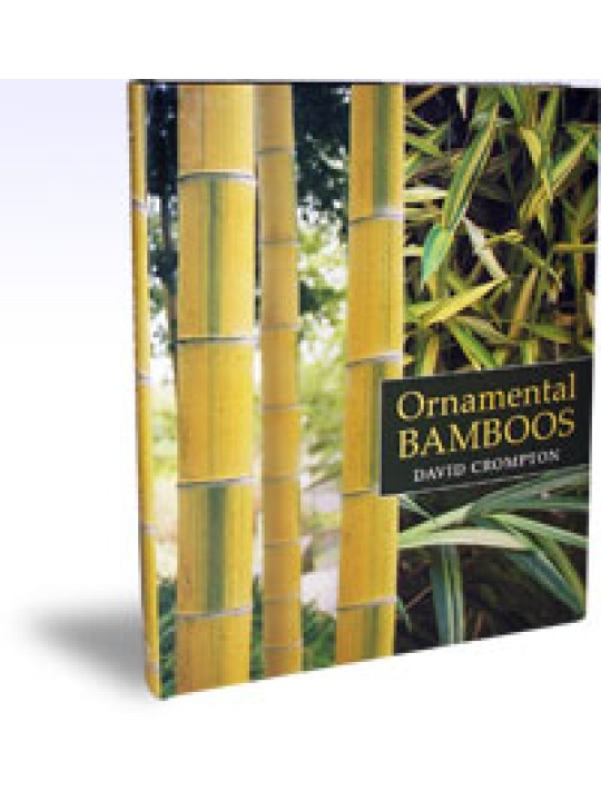 Ornamental Bamboos