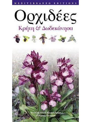 Ορχιδέες Ορχιδέες