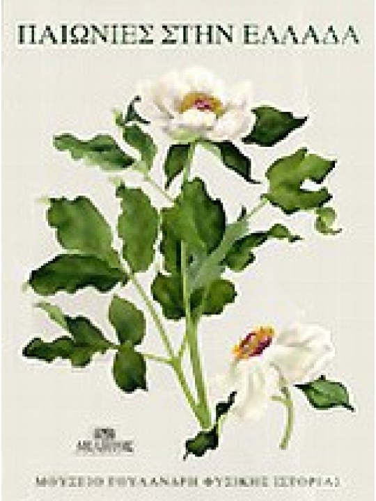 Παιώνιες στην Ελλάδα Παιώνιες στην Ελλάδα