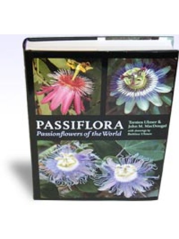 Passiflora