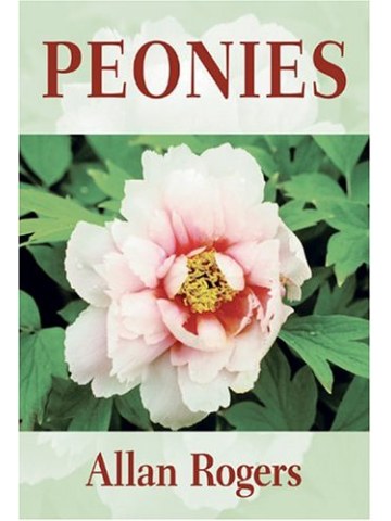 Peonies