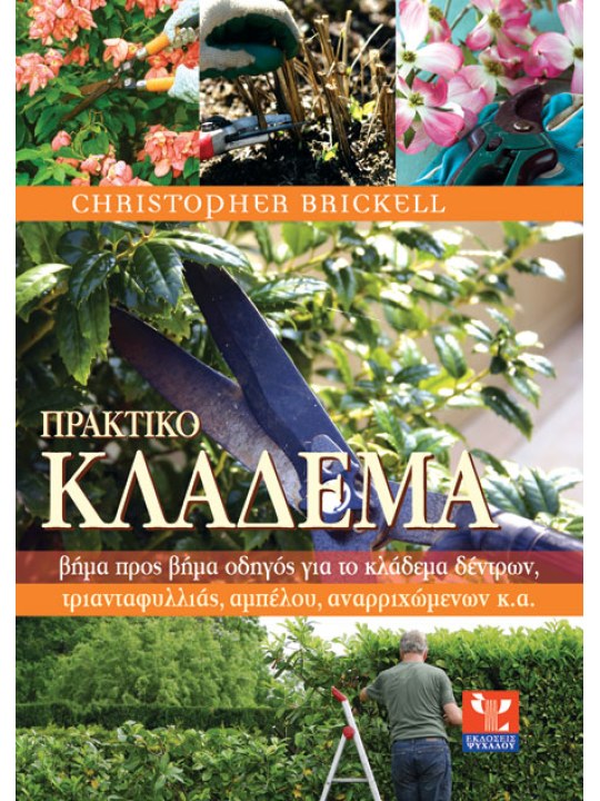 Πρακτικό κλάδεμα 