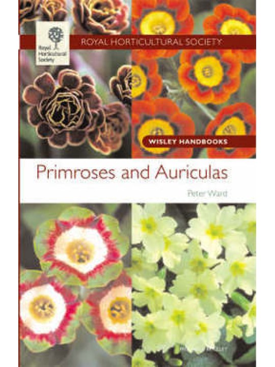 Primroses and Auriculas
