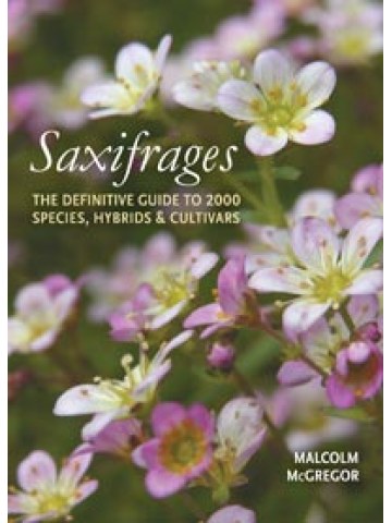 Saxifrages, A Definitive Guide to the 2000 Species, Hybrids & Cultivars
