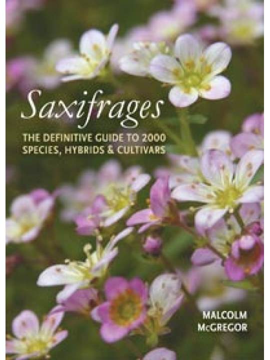 Saxifrages, A Definitive Guide to the 2000 Species, Hybrids & Cultivars