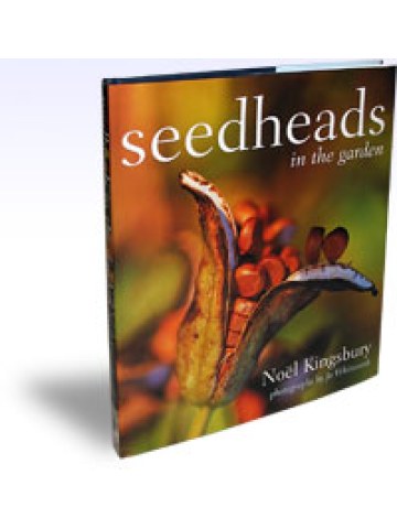 Seedheads in the Garden