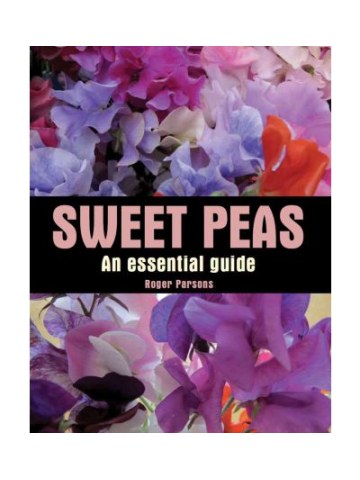 Sweet Peas - An Essential Guide Sweet Peas - An Essential Guide