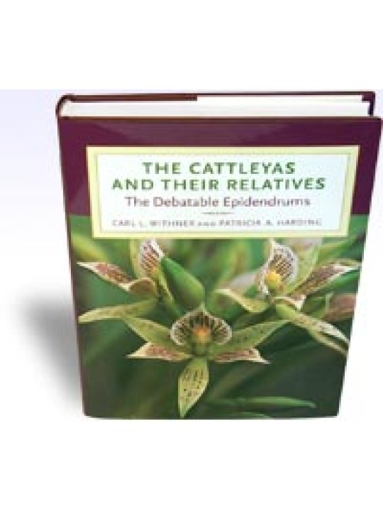 The Cattleyas and Their Relatives