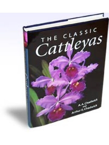 The Classic Cattleyas