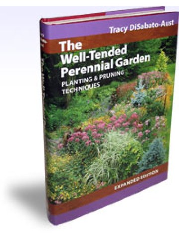 The Well-Tended Perennial Garden