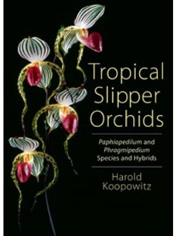 Tropical Slipper Orchids