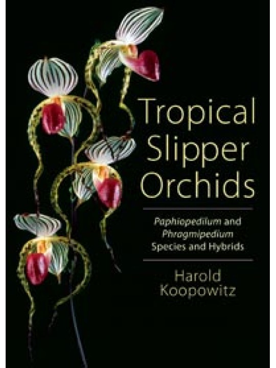 Tropical Slipper Orchids