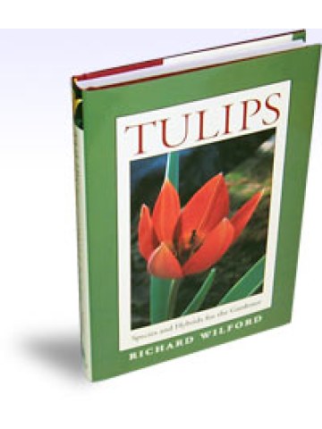 Tulips, Species and Hybrids for the Gardener (Τουλίπες - έκδοση στα αγγλικά)
