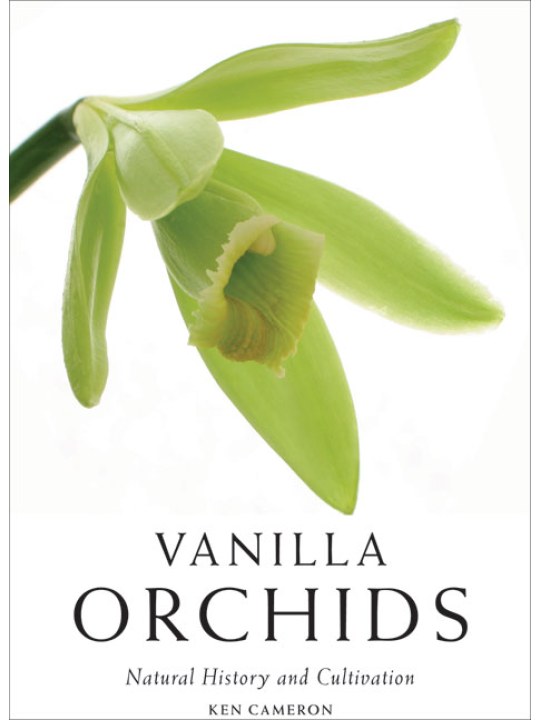 Vanilla Orchids (ορχιδέα βανίλια - έκδοση στα αγγλικά)