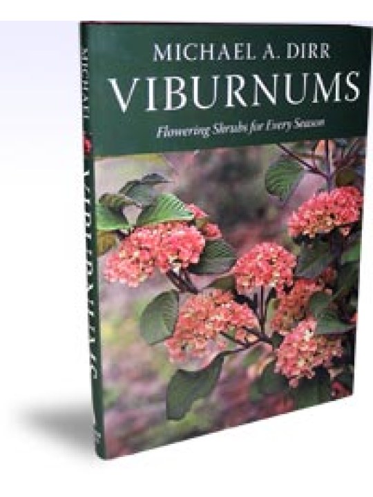 Viburnums