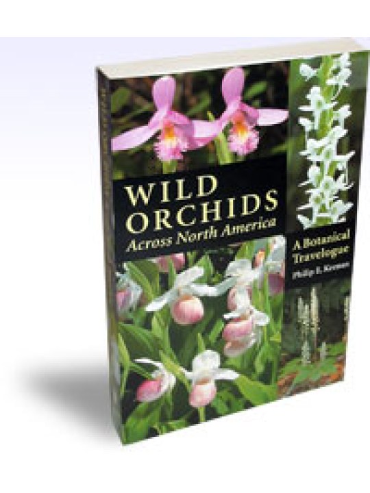 Wild Orchids Across North America