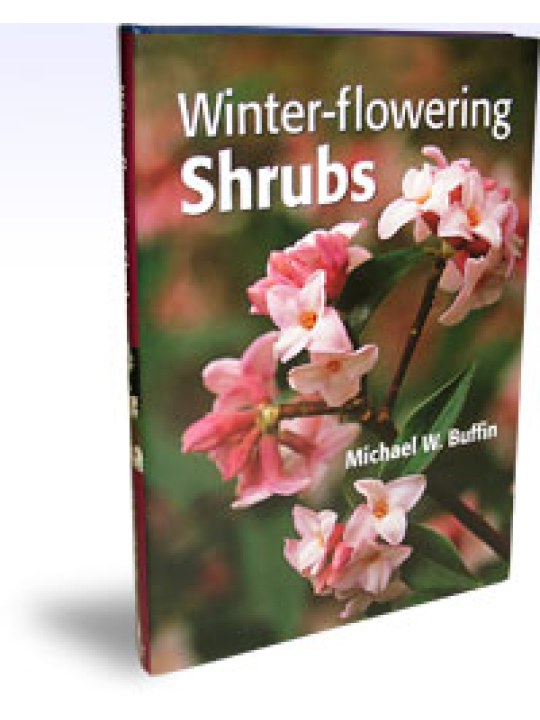 Winter-flowering Shrubs (Θάμνοι χειμερινής άνθησης - έκδοση στα αγγλικά)