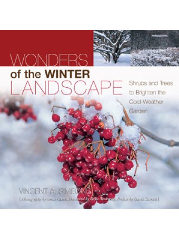 Wonders of The Winter Landscape